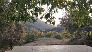 VENTA DE LA CASA NOGUERA - Riópar - 4