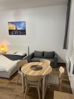 Paris Apartments - Kattowitz - 4