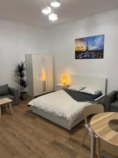 Paris Apartments - Kattowitz - 1