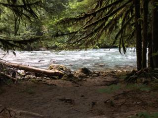 Mt Baker Den, Sleeps 4 - Glacier - 6