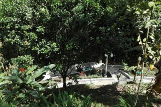 Backyard loft in the heart of the forest - 1