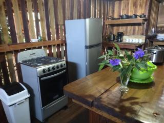 Barba Negra Adventure House - Sierpe - 3