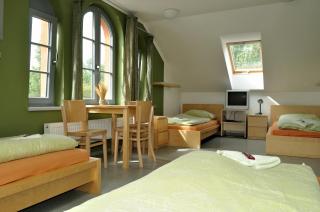 Hostel Lípa - Továrna - Krásná Lípa - 6