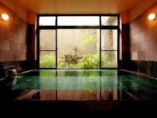Hakuba Hotel Ougiya - Hakuba - 7