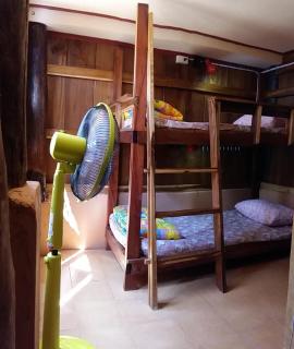Cactus Hostel - Chiang Mai - 6