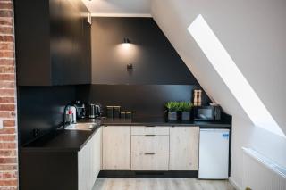 Loft 38 z tarasem - Toruń - 9