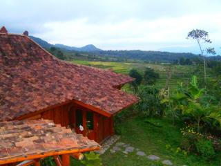 Villa Sumbing Indah - Magelang - 9