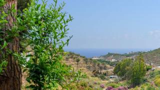 Elsa Torrox by Ruralidays - Torrox - 5