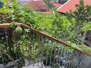 Đường lâm village homestay - 4