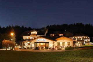 Landhotel Kleblmühle - Grafenau - 4