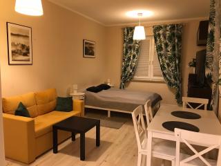 Apartament Polaniczanka - Polanica-Zdrój - 4