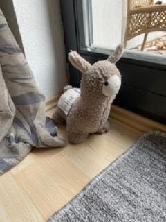 Ferienwohnung Am Rimbach - Suhl - 5