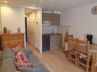 Studio rénové près des pistes avec balcon, animaux acceptés - FR-1-516-132 - Les Deux Alpes - 0
