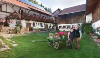 Bayerwald-Ferienhof Schmid - Eppenschlag - 9