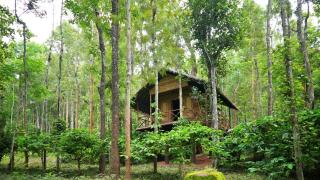 Adrak Mountain Mist Forest Resort - Pulpally - 9