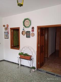 Lagarto - 2