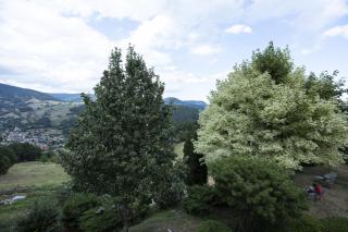 Hôtel Restaurant Les Alisiers - 3