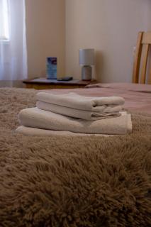 Olimpija Hotel & SPA - Daugavpils - 5