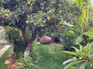 MintHouse Holiday Home - Episkopi (Chania) - 4