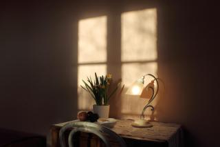Amedea Tuscany Country Experience - Pistoia - 2