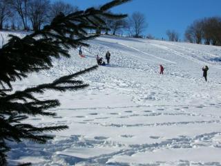 Chalet haut de gamme avec sauna, terrasse et jardin près de la montagne vosgienne - FR-1-589-185 - Saint-Nabord - 6