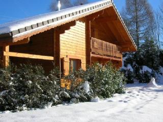 Chalet haut de gamme avec sauna, terrasse et jardin près de la montagne vosgienne - FR-1-589-185 - Saint-Nabord - 2