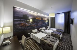 Vilnius City Hotel - Vilnius - 8