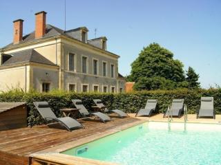 Maison rénovée 19è, piscine chauffée, sauna, spa, grand parc, proche de la nature spacieuse et tout confort. - FR-1-489-399 - Cérilly - 0