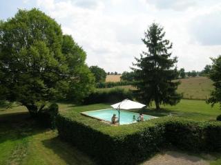 Maison rénovée 19è, piscine chauffée, sauna, spa, grand parc, proche de la nature spacieuse et tout confort. - FR-1-489-399 - Cérilly - 6