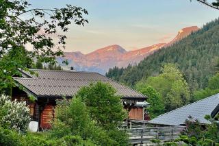 Family Chalet, Stunning Views & New Hot Tub - La Côte dʼArbroz - 1