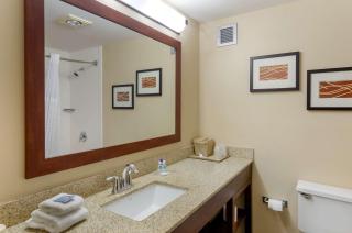 Comfort Inn Blacksburg University Area - Blacksburg - 2