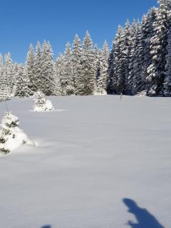 Erzgebirgshütte - Pobershau - 7