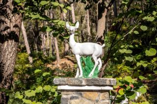 Forest Park Hotel - Platres - 9