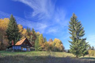 Fairytale Cottage - Peaceful Getaway Near Bled - Zgornje Gorje - 8