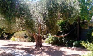 Gästehaus HelderbergView - 3