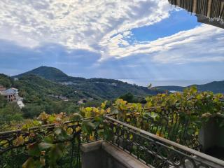 Villa Deloik Ante`s Hill House - Budva - 5