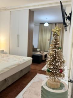 Studio apartman Ana - 2