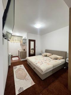 Studio apartman Ana - Pale - 3
