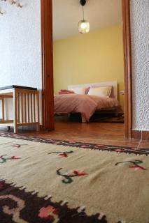 Dimos Suite - Arachova - 1