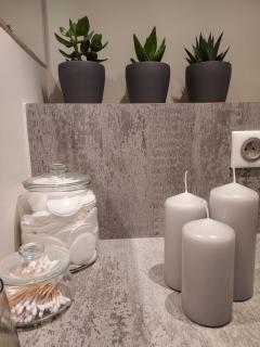 Boigne Sweet Suite - Chambéry - 1