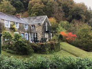 Hidden gem in the Talley Hills, lliandeilo wales - Talley - 0
