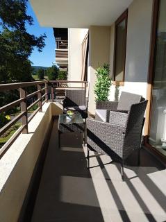CONDOMINIO LOS CASTAÑOS ALICURA, PUCÓN, departamento 2 dormitorios, 1 baño, estacionamiento, piscina - Pucón - 9