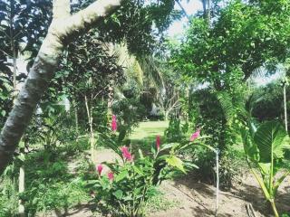 Happy Farm Tien Giang Homestay - Mỹ Tho - 2