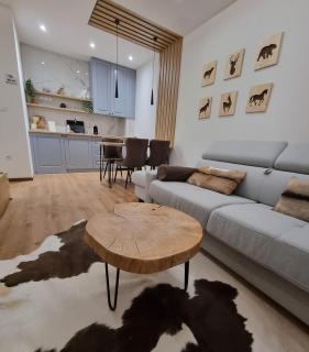 Apartman Drvorez-direktno na ski stazi - Jahorina - 5