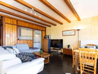 Spacieux appartement 7 pers, proche pistes skis, cheminée, animaux admis - FR-1-296-296 - Saint-Lary-Soulan - 0