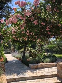 Villa-Agave , by the sea in Porto-Rafti outside Athens - Porto Rafti - 1