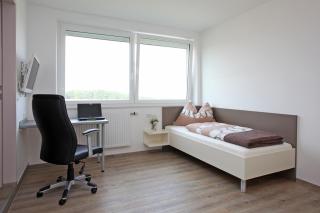 Pension Weinbauer - 2