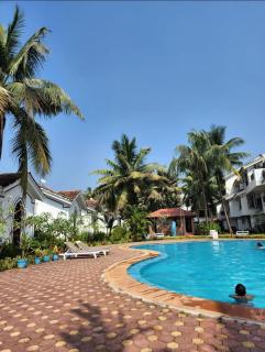 Riviera Hermitage - Arpora - 7