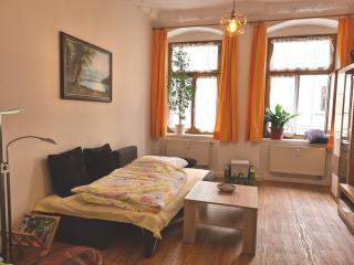 FeWo-Regenbogen-Dresden - 5