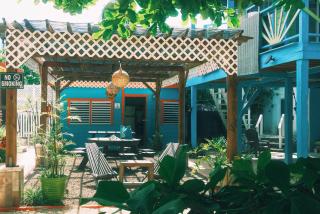 Sea n sun Guest House - Caye Caulker - 0